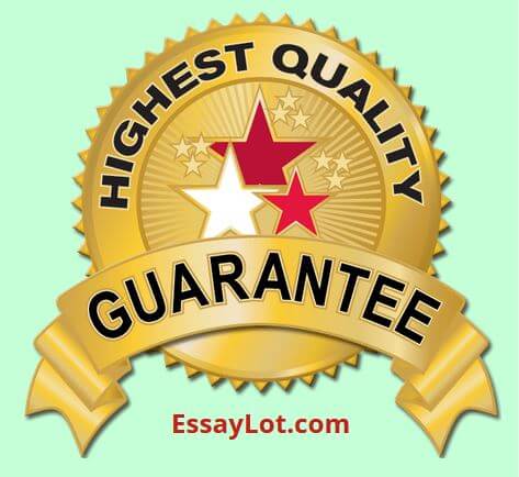 EssayLot High quality guarantee