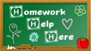 Homework Help with no Plagiarism