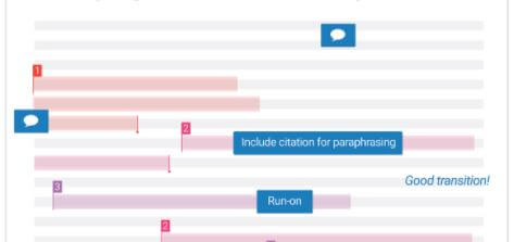 Turnitin report on essay with graphs