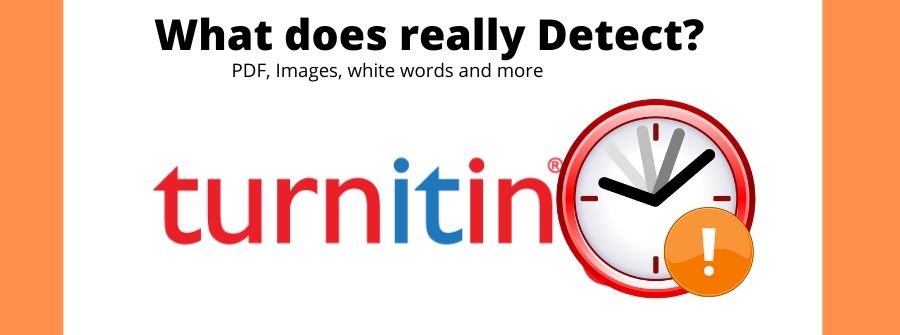 What Turnitin Detects or does not detect