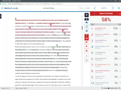 analyzing Turnitin score