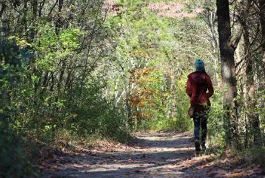 A nature walk