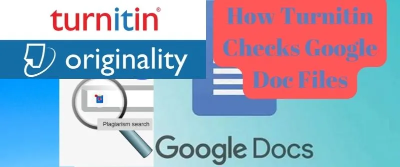How Turnitin Checks Google Doc Files