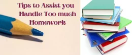 Lots of Homework: Here are Tips to Handle it