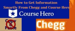 Copy-Paste From Chegg Or Course Hero: Things You Should Know