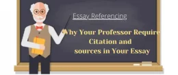 Do University Professors Check Citations and Sources in Essays