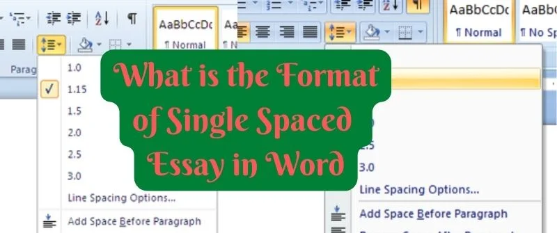 writing Single-spaced Essay